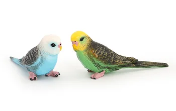 Simulácia Wild Animal Model Nastaviť Budgerigar Vtákov Statické Pevné Hračky pre Deti